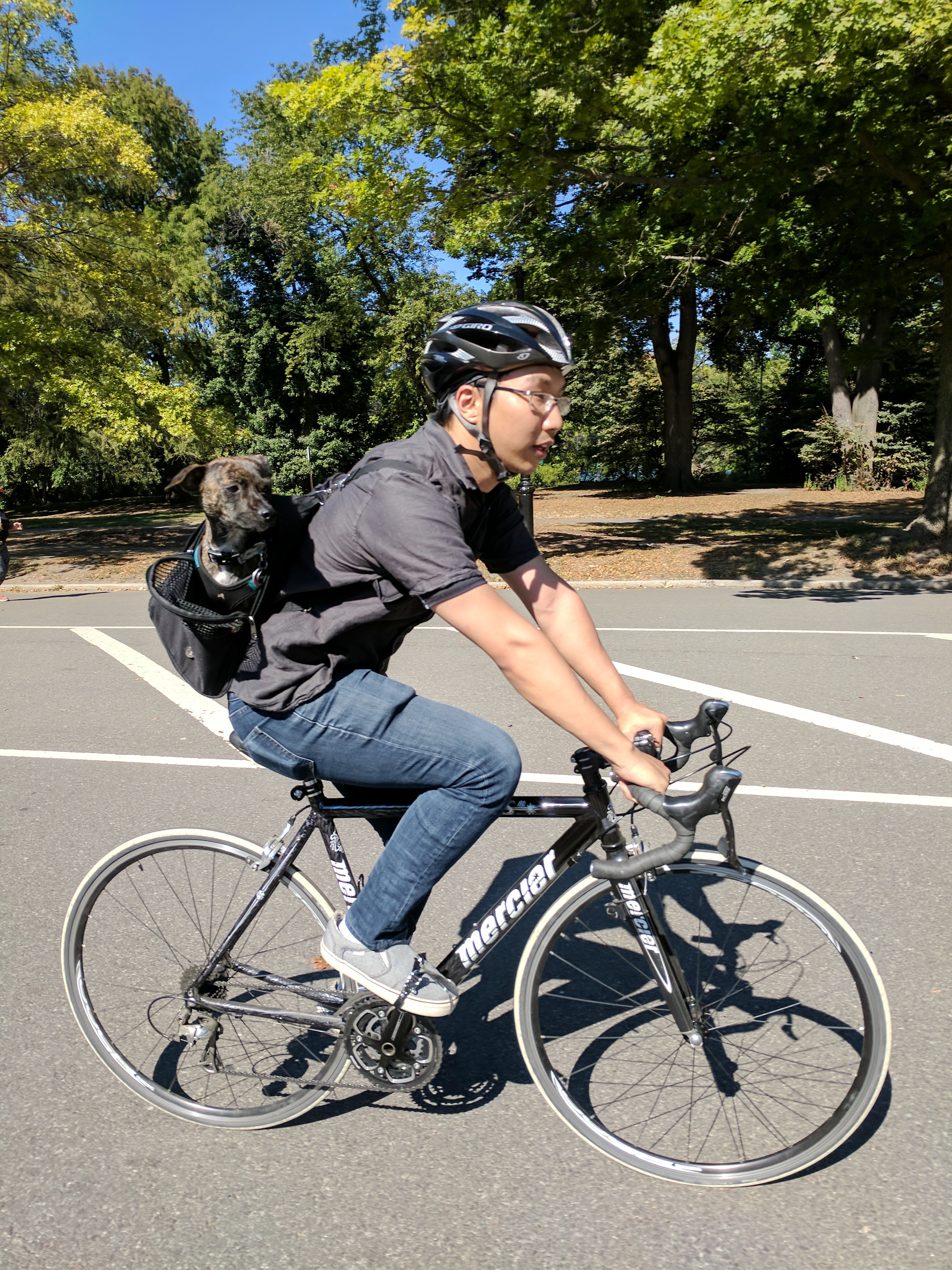 Markov likes riding bikes with me